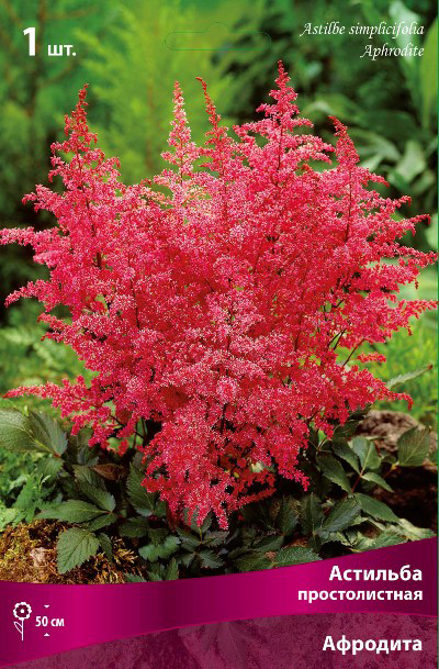 ����  ���������� �������� ����� ��������� �������� ������������� ��������, 1 ��., ������ �� 325 ���