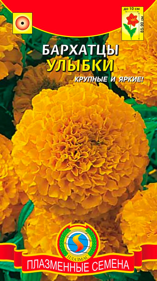 ����  ������ ������� �������� ������������ ������, 45 ��., ������ �� 41 ���