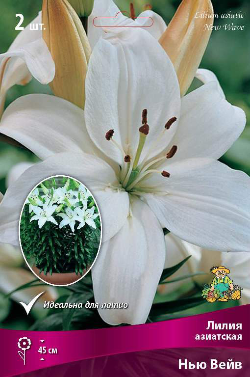 ����  ���������� �������� ����� ��������� ����� ��������� ��������� ��� ����, 2 ��., ������ �� 360 ���