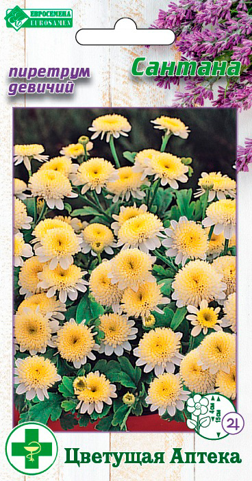 ����  ������ ���������� �������� ������� �������, 10 ��. �������� ������, ������ �� 68 ���