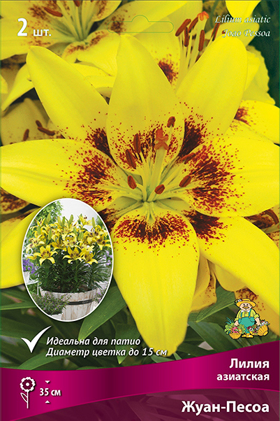 ����  ���������� �������� ����� ��������� ����� ��������� ��������� ����-�����, 2 ��., ������ �� 360 ���