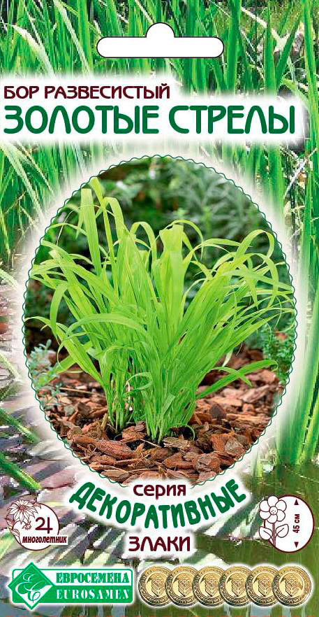 ����  ������ ���������� ��� ����������� ������� ������, 5 ��. ������������ �����, ������ �� 89 ���