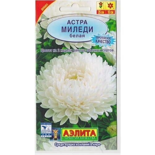 ���� ������ ����� ��������� ������ 