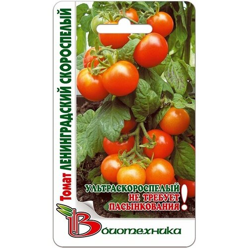      75  () (.   ) , 3  * 25 (),   455 