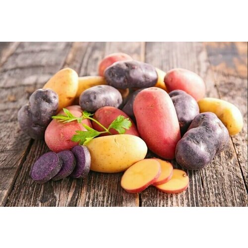 ���� C����� (�� ������!) ��������� ����� (Salute) / Seeds And Goods / � �������� zip-lock ��� ���������� 30 �����, ������ �� 269 ���