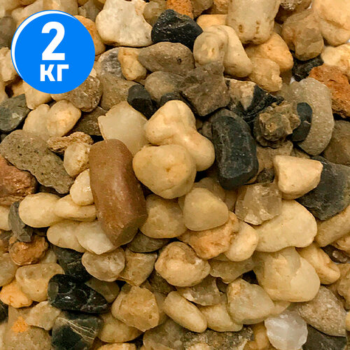 ���� ����������� ����� ��� ��������, ����������� � ��������, Zoo One, ��������� ��������, 