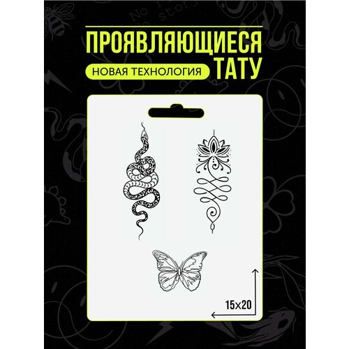 ���� ���� ���������� �������������� ��������, ������ �� 411 ���