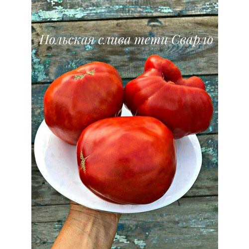 ���� ������������� ������ ������ �������� ����� ��� ������, ������ �� 120 ���