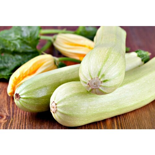    F1,     ,    , 5 ,   253 