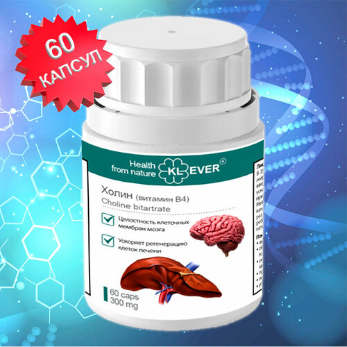 ���� ����� (������� �4). 60 ������. ��� ������ / ������� / ��� �����, ������ �� 630 ���