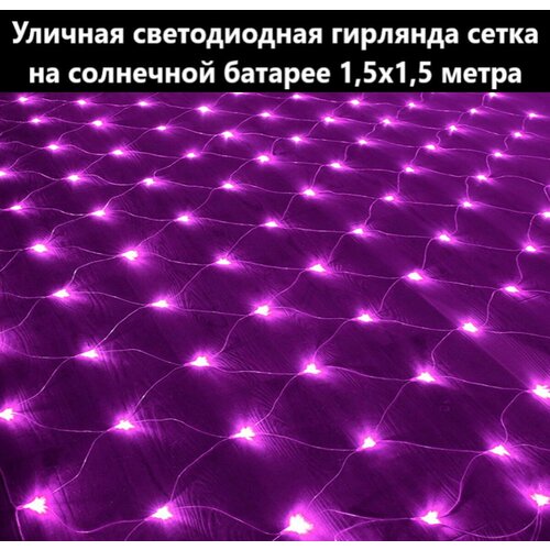 ���� ������������ �������� 96 ���� 1,5�1,5 �. � ����� ����� ���������� �� ��������� ������� � �������, ������ �� 1900 ���