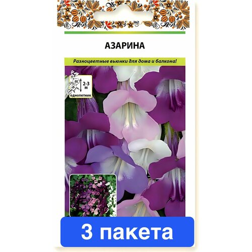 ���� ������ ������ ������� ������ 