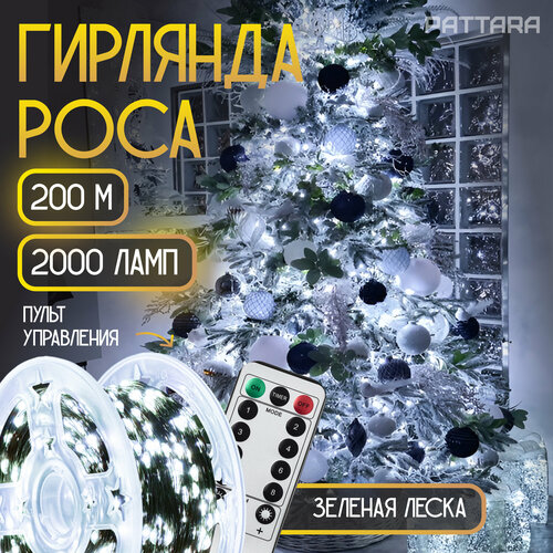 ���� �������� ���� ������������ �� ���� ������� ���������� 200 �, ������� ����, ������ �� 3000 ���