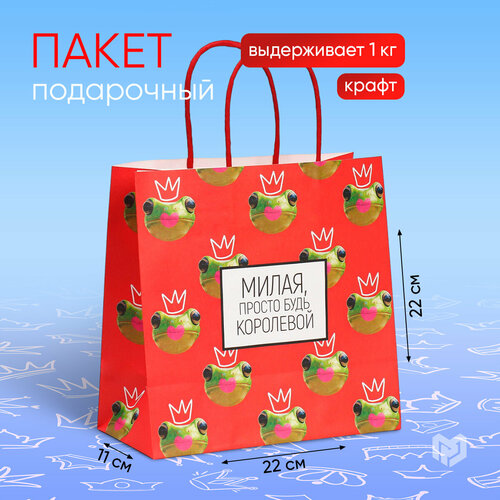 ���� ����� ���������� ���������� ����� ���������, 22 � 22 � 11 ��, ������ �� 734 ���