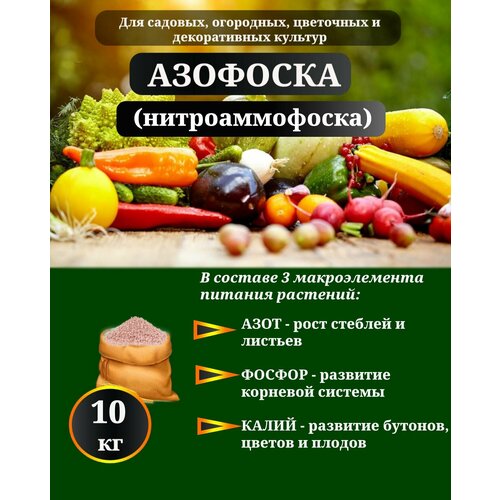 ���� ����������� ����������� ��������� 