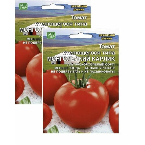 ���� ������ ����� ����������� ������ 2 �������� * 20��(�����) ��������� ������, ������ �� 169 ���