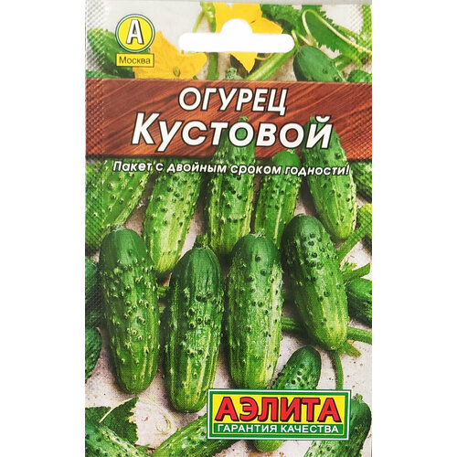 ���� ������ ������ 