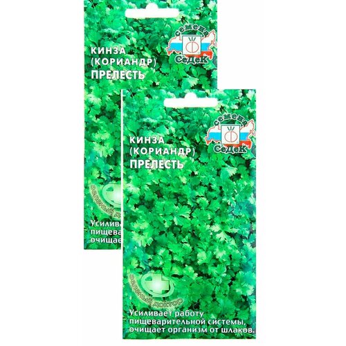 ���� ������ �������� (�����) �������� 2 � (�����) , 2 �������� * 2 �, ������ �� 59 ���