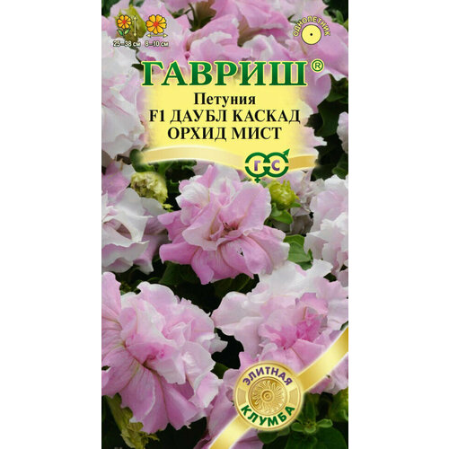 ���� ������ ������� ��������������� ����� ������ ����� ���� F1, 5��, ������, ������� ������, 10 ��������, ������ �� 1319 ���