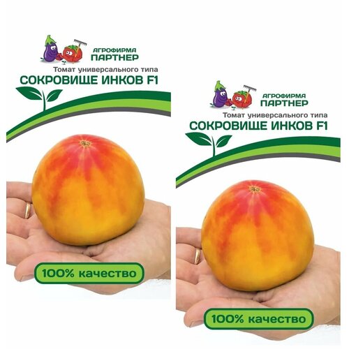 ���� ������ ����� ��������� ����� F1 /��������� �������/ 2 �������� �� 10 �����, ������ �� 490 ���