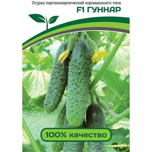 ���� ������������� ������ ������ ������ F1, ������ �� 122 ���