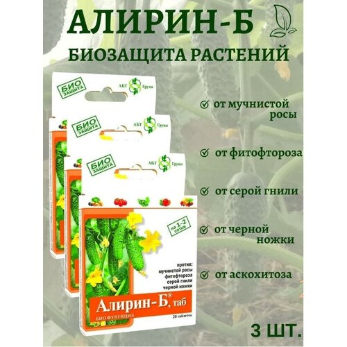 ���� ����������������� �������� ������ � �������� �� ������ ������ ����� ��������� ���� ����������� 20 �������� 3 ��, ������ �� 400 ���