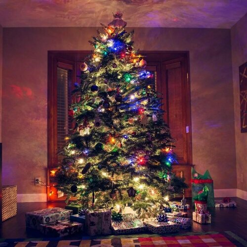 ���� �������� ������������, ������������� ��������, ���������� �������� ���� �� ����, 9 �, ������������, ���������� ������, ������ �� 426 ���