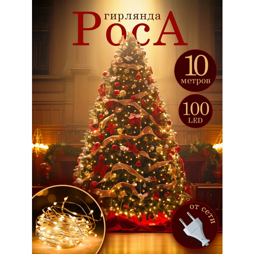 ���� ������ �������� 