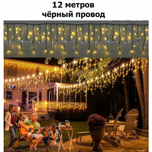 ���� ������� ��������-������� 12 �. Ҹ���� ����� (������ ������), ������ �� 2019 ���