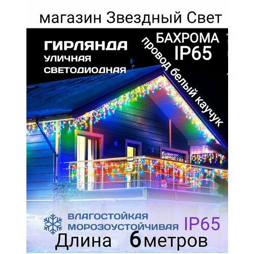 ���� ��������������� ������� ������� ������������ ������������ 6 ������, ������ �� 1650 ���