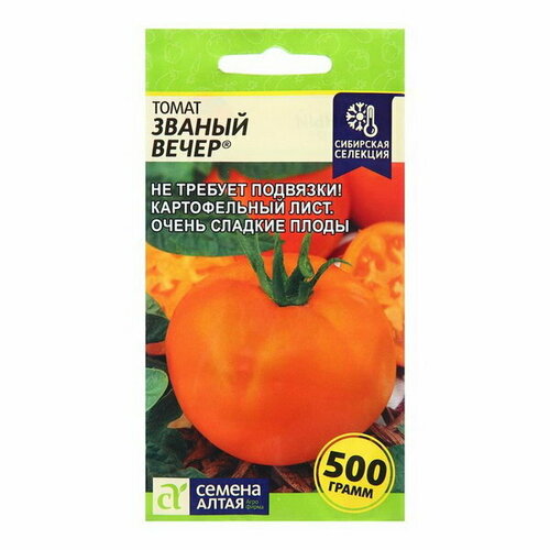 ���� ������ ����� 