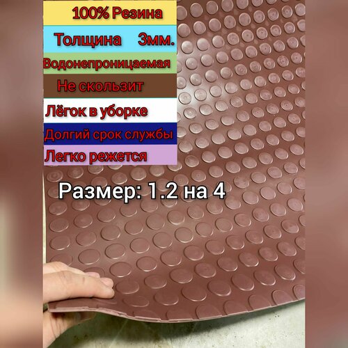       1.2  4 (,  )    , , ,  ,   12480 