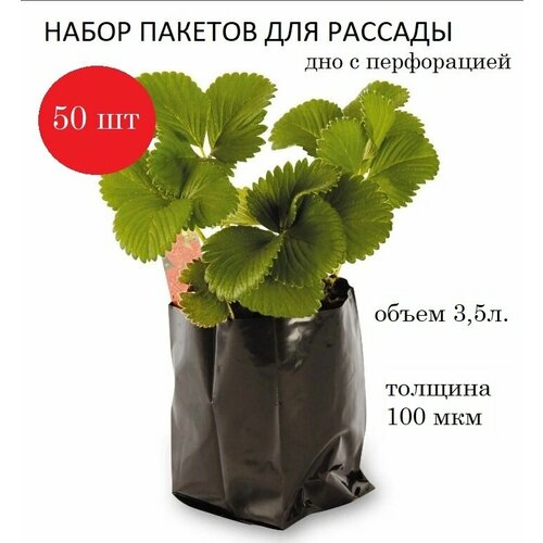     3,5,  100, , 50.,   547 