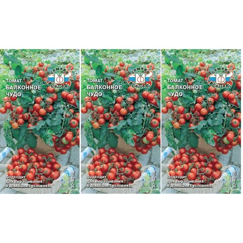 ���� ������ ����� ��������� ���� 0,1 � (�����) , 3 ������ * 0,1 � ; �������� ��� ����������� �� ������� ��� �����������., ������ �� 129 ���