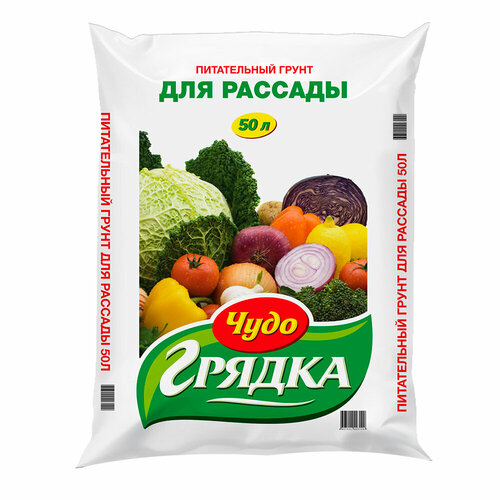 ���� ����� �������-���� ����-������ ��� �������, 50 �, 20 ��, ������ �� 1537 ���