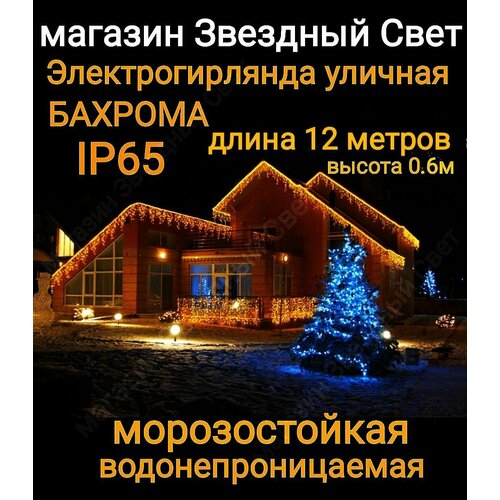 ���� ��������������� ������� ������� ������������ ������ �� ����� ������� 12 ������, ������ �� 2990 ���