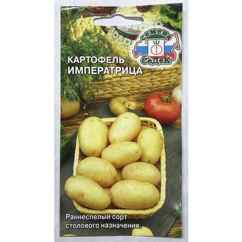 ���� ��������� �����������, 1 �����, ������ 0,02�, �����������, ������ ������, ������ ������, ������ �� 80 ���