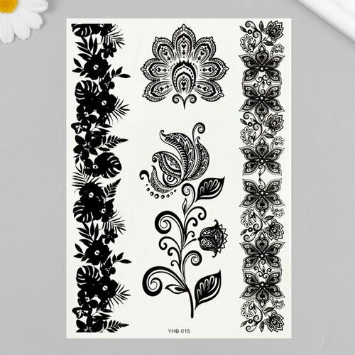 ���� ���������� �� ���� ������ 