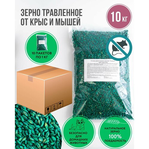 ���� �������� �� ����� � ���� ����� ������ ������� 10 ��, ������ �� 1345 ���