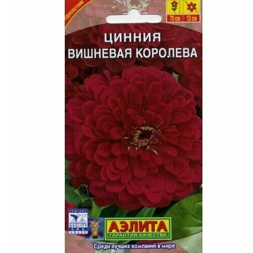 ���� ������ ������ ������ 