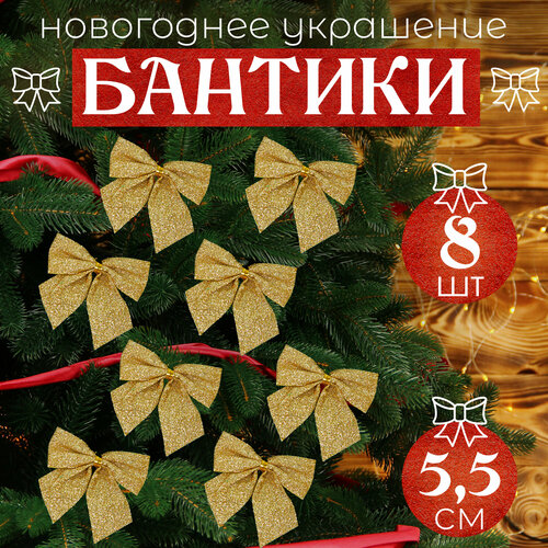 ���� ����� �� ���� ������ 8�� 5,5��, ������ �� 270 ���