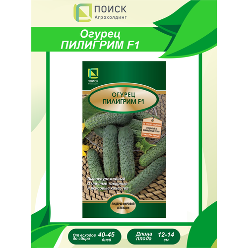 ���� ������ ������ �������� F1 12 ��., ������ �� 104 ���