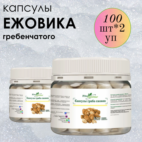 ���� ������ ���� ����������� � �������� ����-��������, ����������� ������� ������� 100 ��*2 ��������, ������ �� 1624 ���