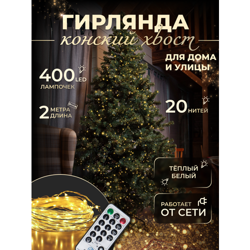 ���� �������� 