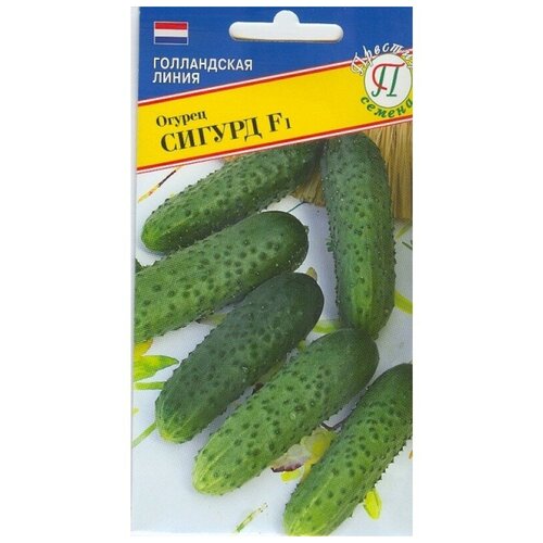 ���� ������� ������ 