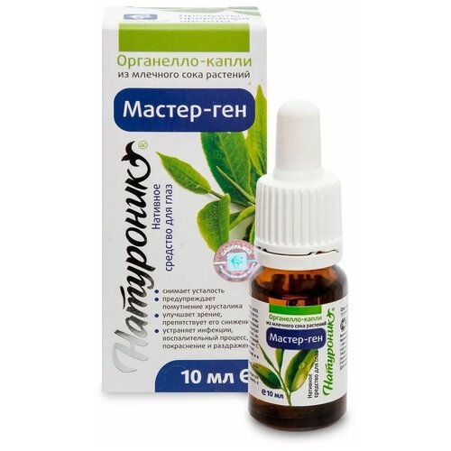 ���� ������-��� ���������-����� ��������� ������-���, ������, ��� ����, 10 ��, ������ �� 386 ���