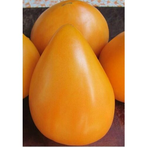 ���� ������������� ������ ������ ������ ��������, ������ �� 101 ���