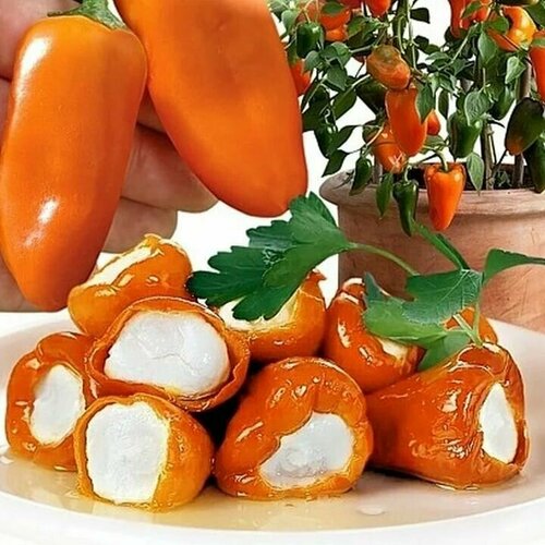 ���� ������������� ������ ����� �������� ���� ������� ����� F1, ������ �� 122 ���