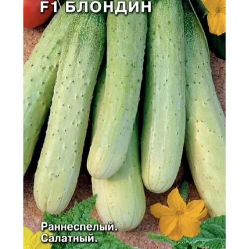 ���� ������������� ������ ������ F1 �������, ������ �� 102 ���