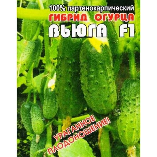 ���� ������������� ������ ������ ����� F1, ������ �� 102 ���